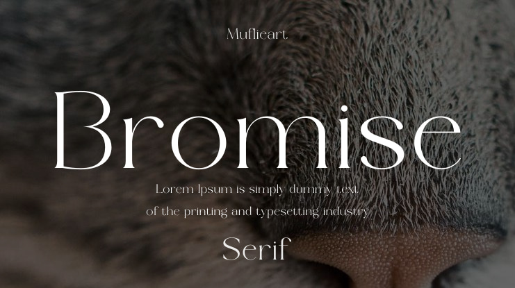 Bromise Font