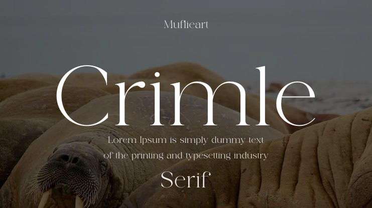 Crimle Font