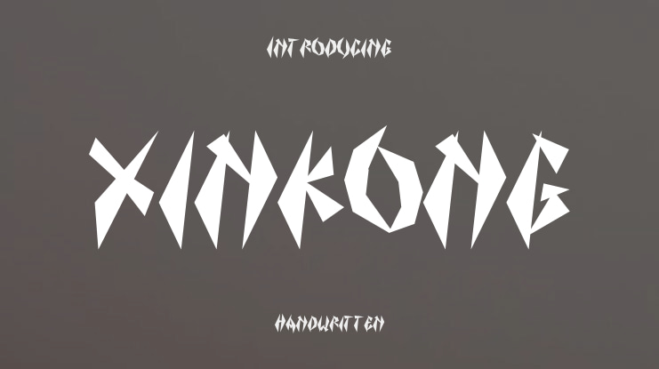 xinkong Font