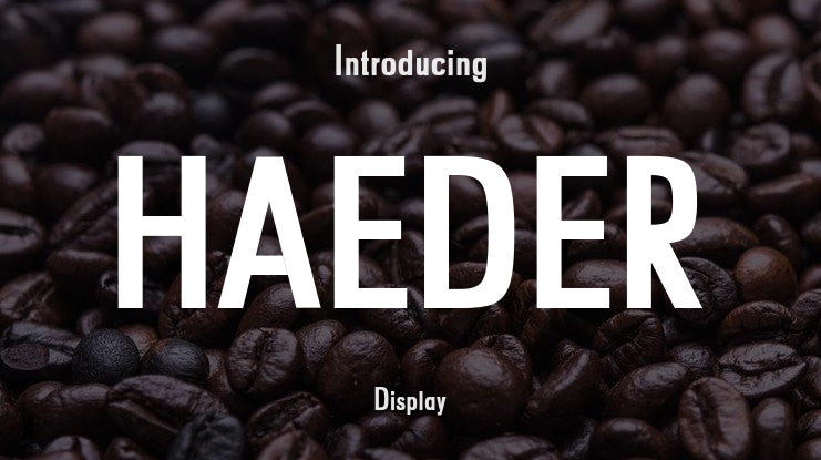 HAEDER Font Family