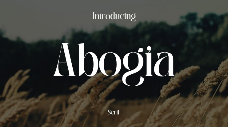 Abogia Font