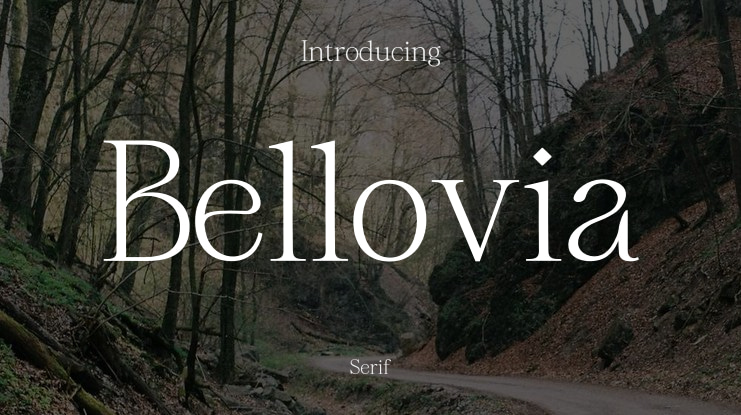 Bellovia Font