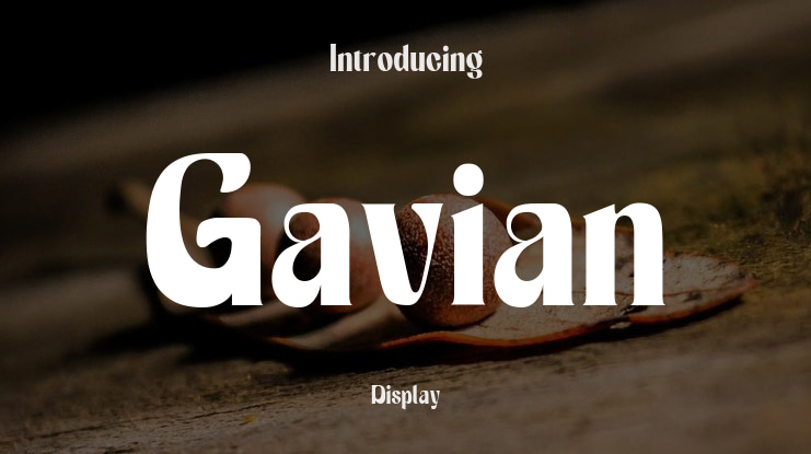 Gavian Font