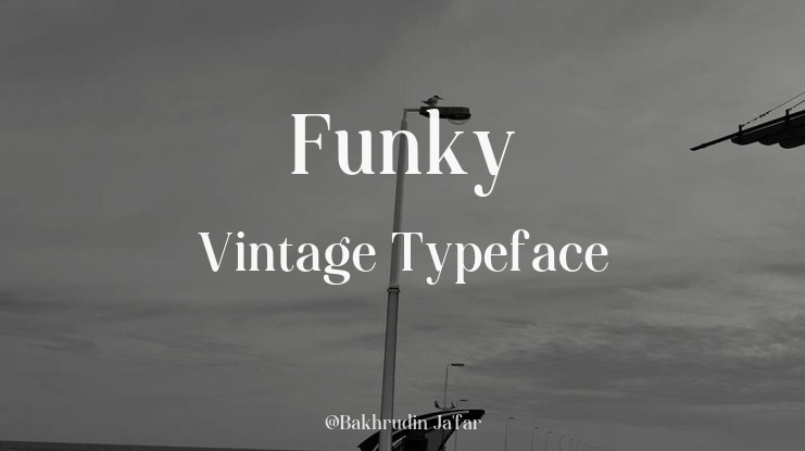 Funky Vintage Font Family