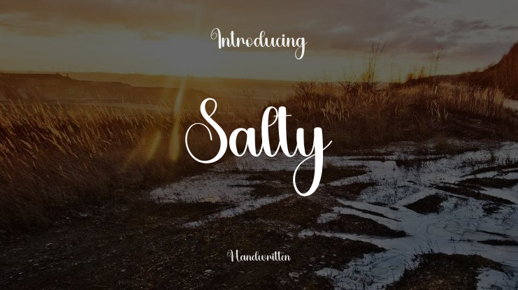 Salty Font