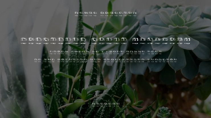 Crestelle Split Monogram Font