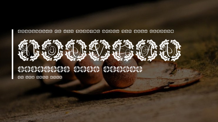 Nouveau Monogram Font