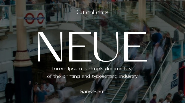 NEUE Font Family
