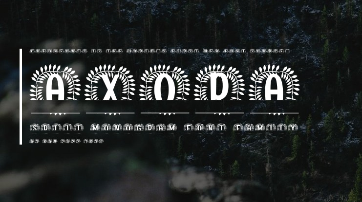 Axora Split Monogram Font