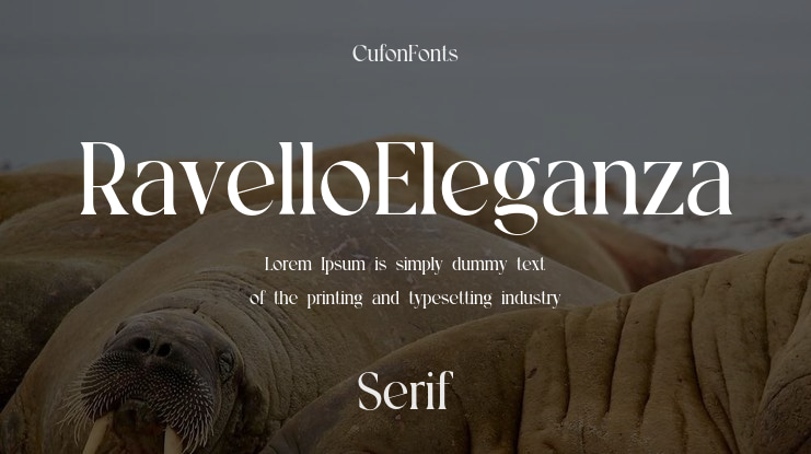 RavelloEleganza Font