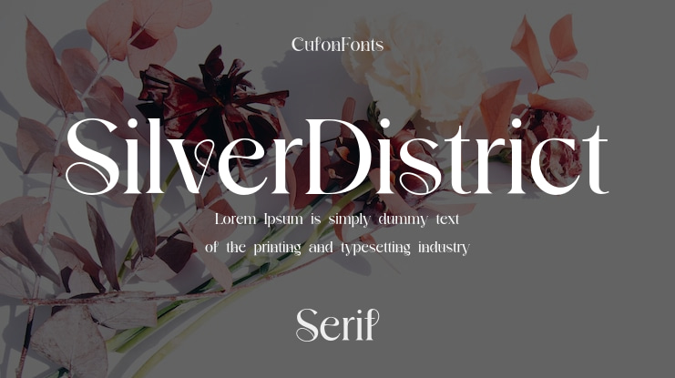 SilverDistrict Font