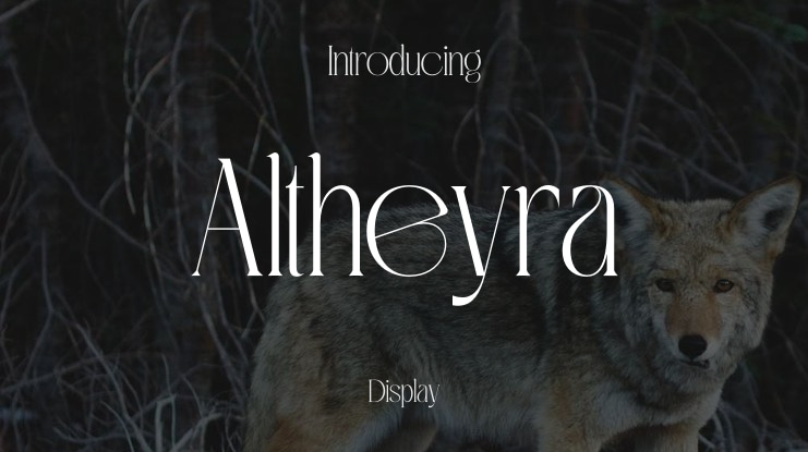 Altheyra Font