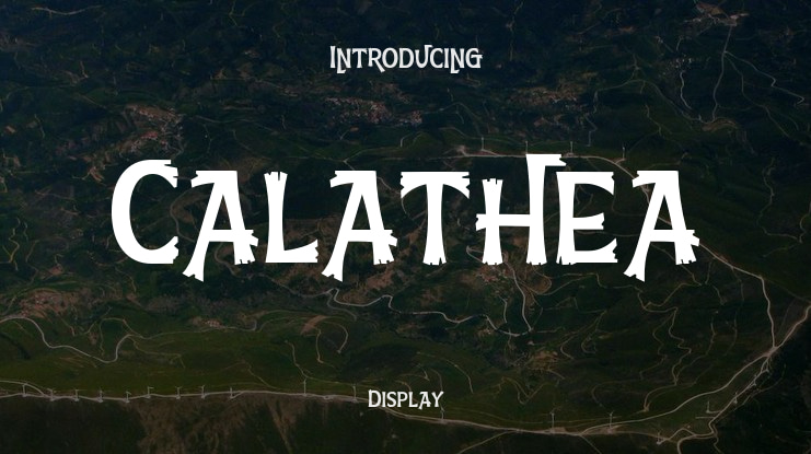 Calathea Font Family