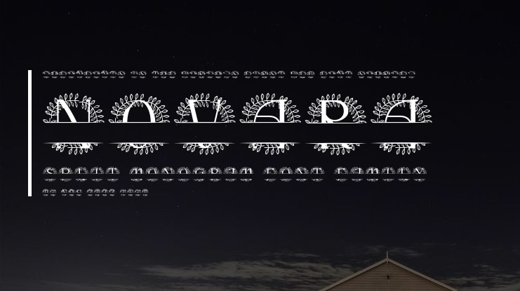 Novara Split Monogram Font