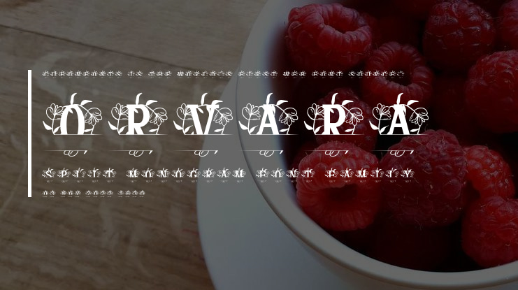 Orvara Split Monogram Font