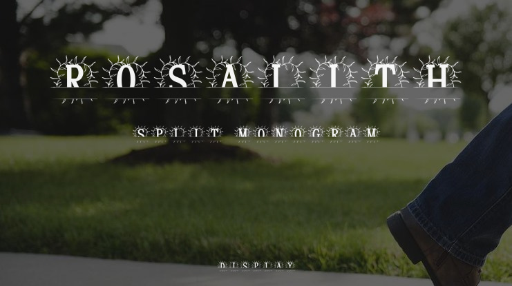 Rosalith Split Monogram Font