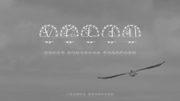 Velin Split Monogram Font