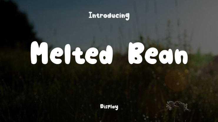 Melted Bean Font