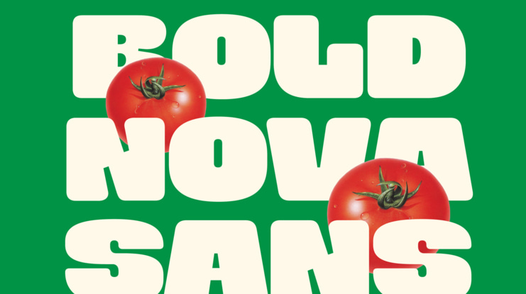 Boldnova Bold Font