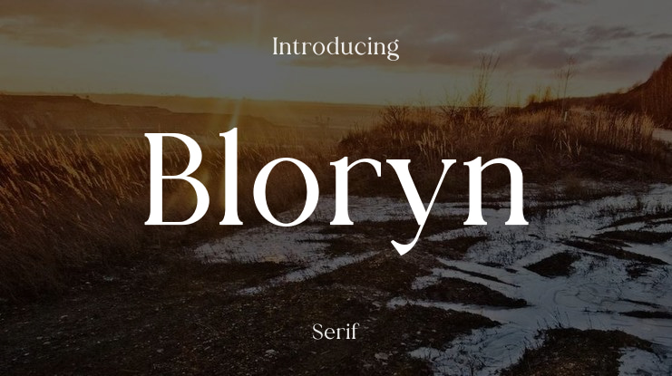 Bloryn Font