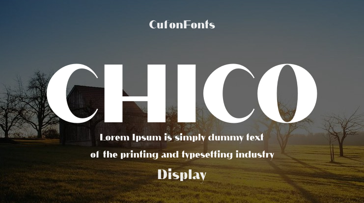 CHICO Font