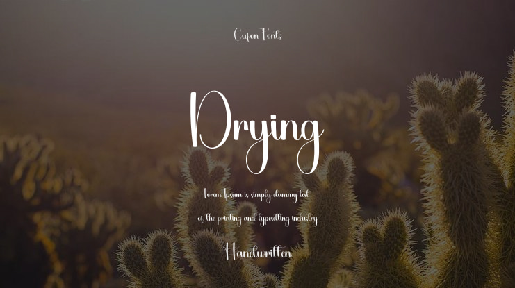 Drying Font