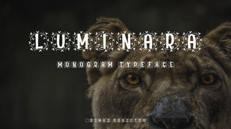Luminara Monogram Font