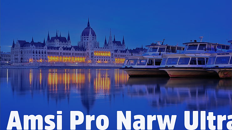 Amsi Pro Narw Ultra Font