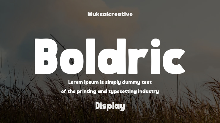 Boldric Font
