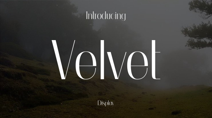 Velvet Font