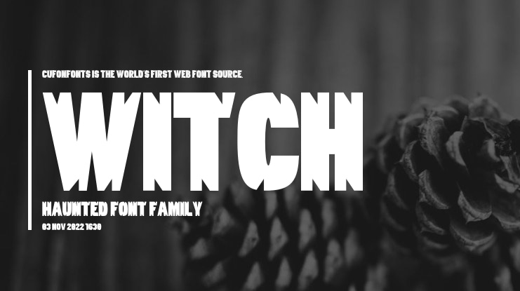 Witch Haunted Font