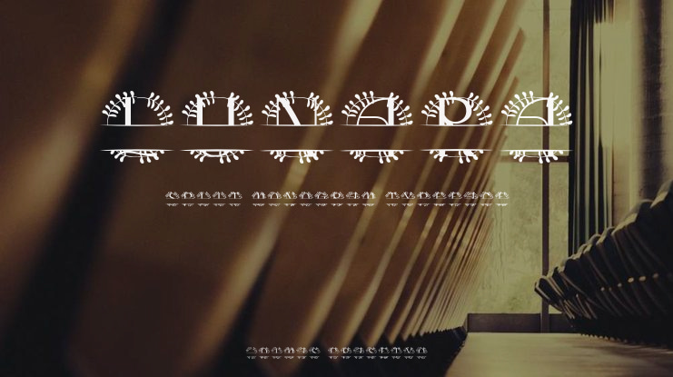 Lunara Split Monogram Font