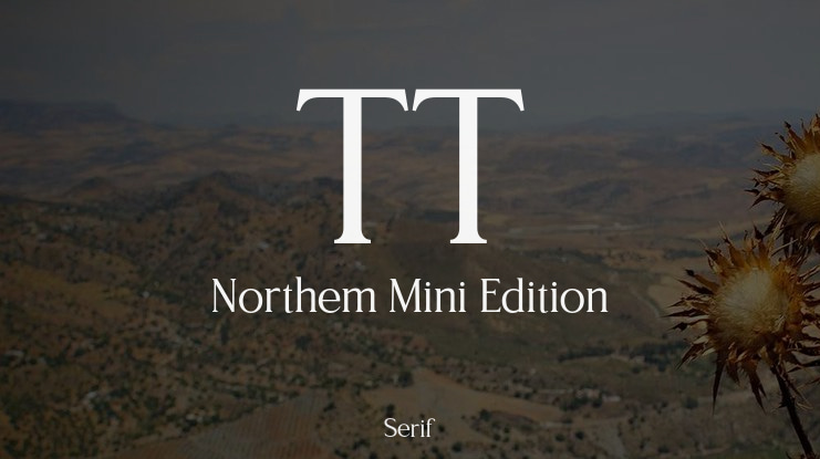 TT Northem Mini Edition Font Family