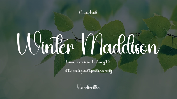 Winter Maddison Font