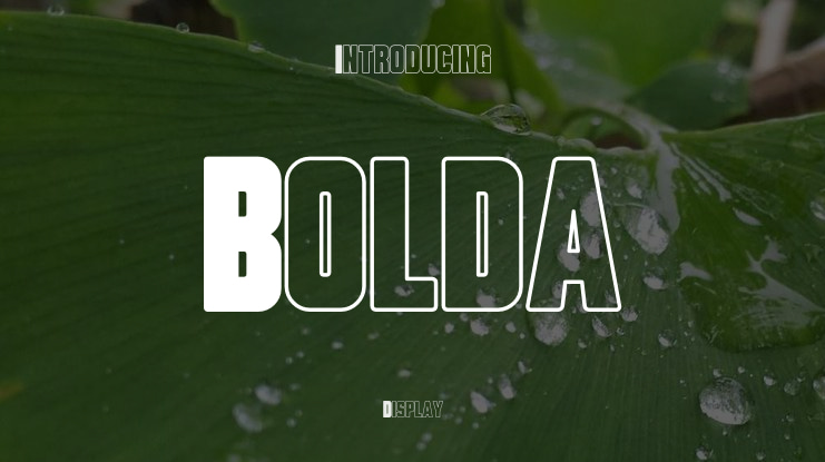 Bolda Font