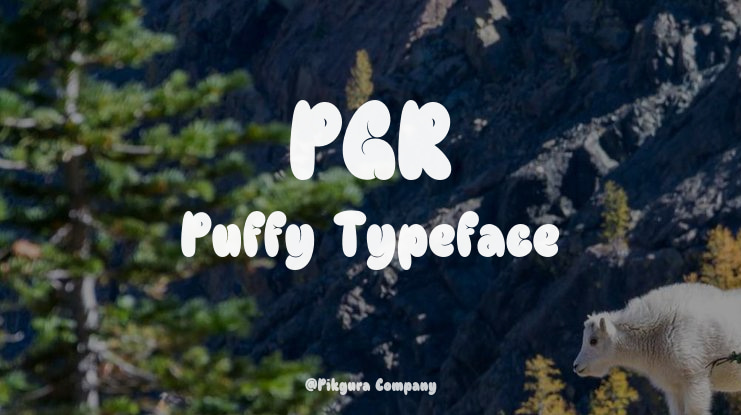 PGR Puffy Font