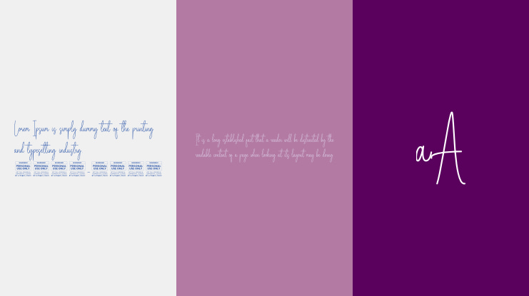 Elegant Classic Font