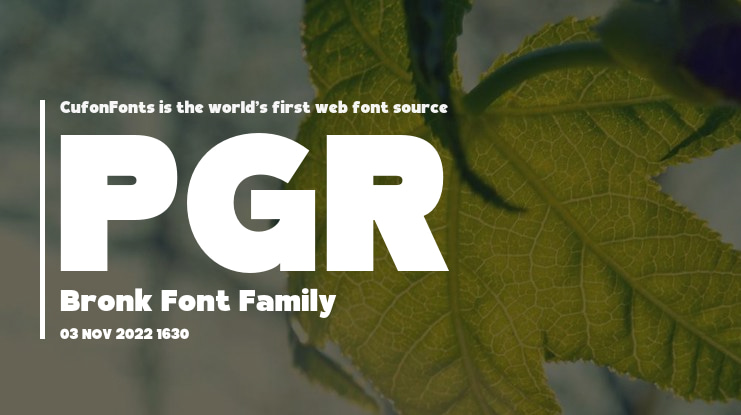 PGR Bronk Font