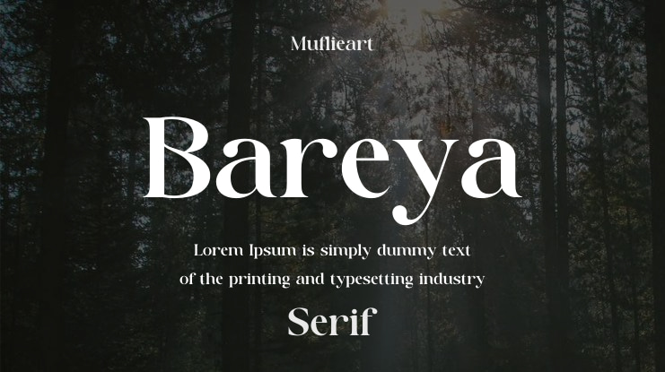Bareya Font