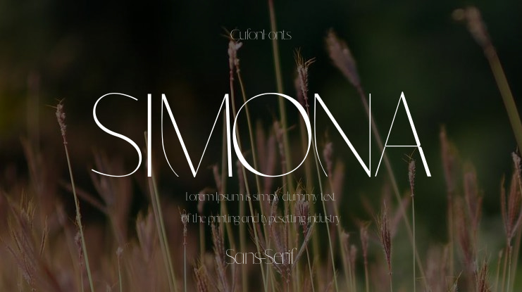 SIMONA Font