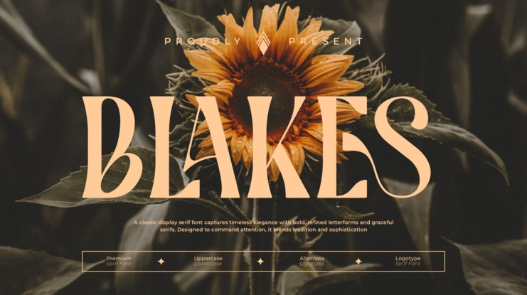 Blakes Font