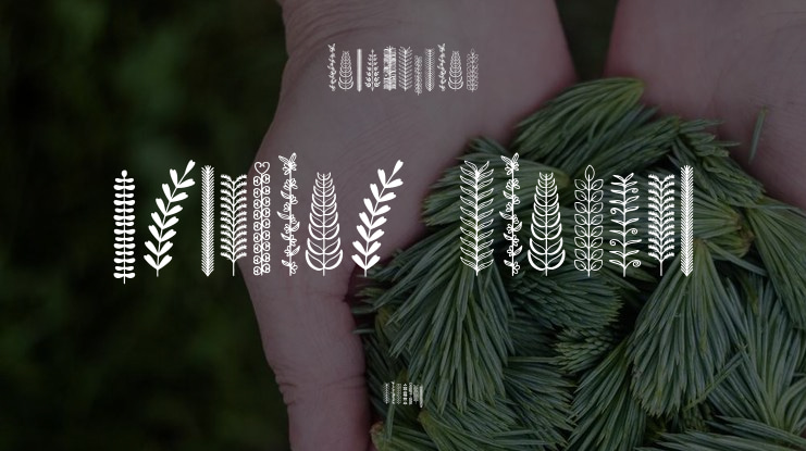 Petaline Dingbat Font