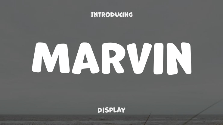 Marvin Font