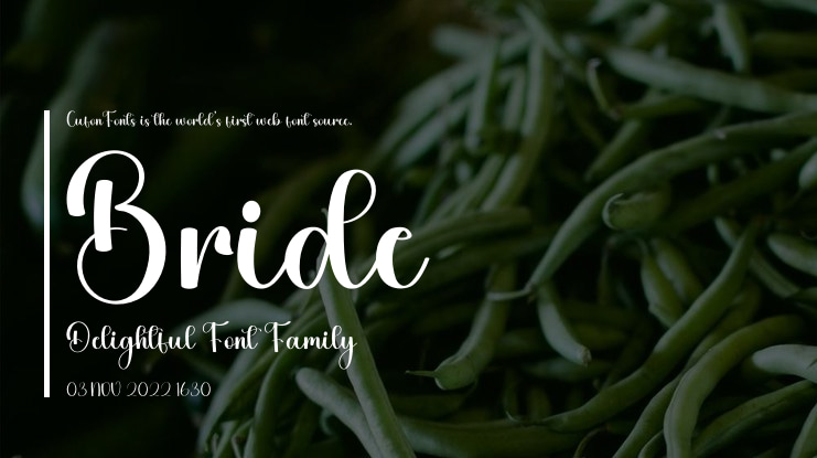 Bride Delightful Font