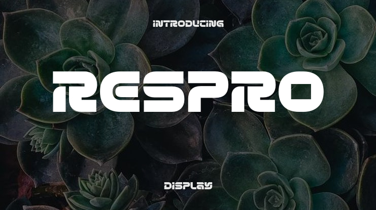Respro Font