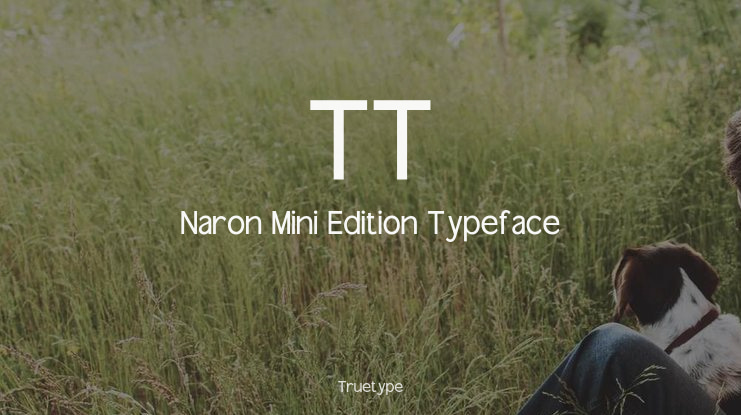 TT Naron Mini Edition Font Family