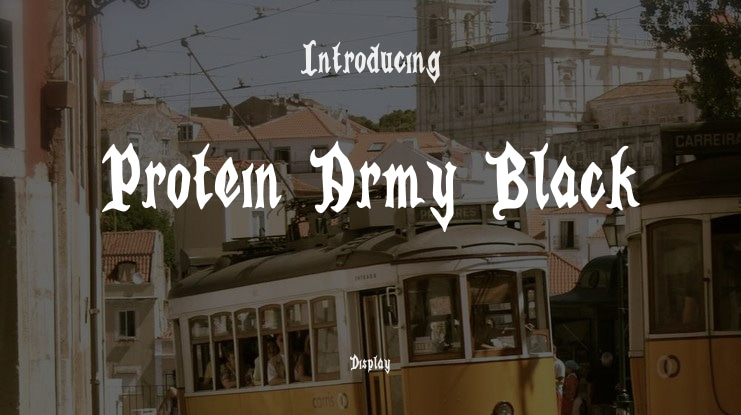 Protein Army Black Font Family