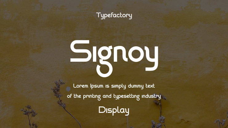 Signoy Font