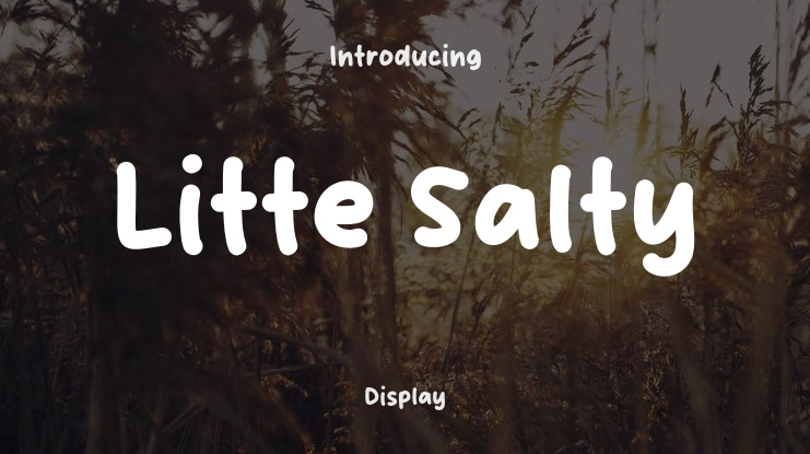 Litte Salty Font