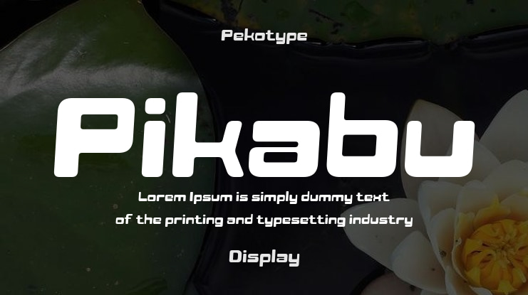 Pikabu Font